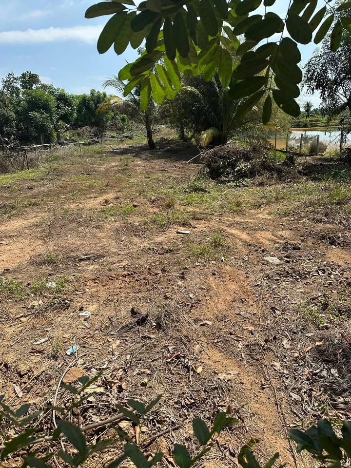 Đất nền Trà Cổ Biên Hòa 1440m² 1.7 tỷ - Sổ đỏ chính chủ!