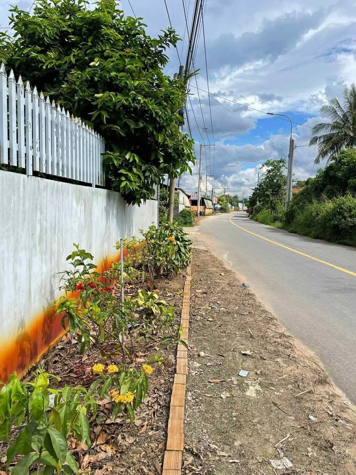 Đất nền Tân Phú, Đồng Nai 1015m² - Tiềm năng phân lô lớn!