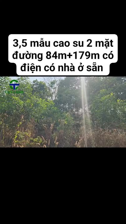 Bán Gấp Đất Vàng 35.000m² Mặt Tiền 2 Đường 84m+179m, Xã Tân Lợi, Bình Phước