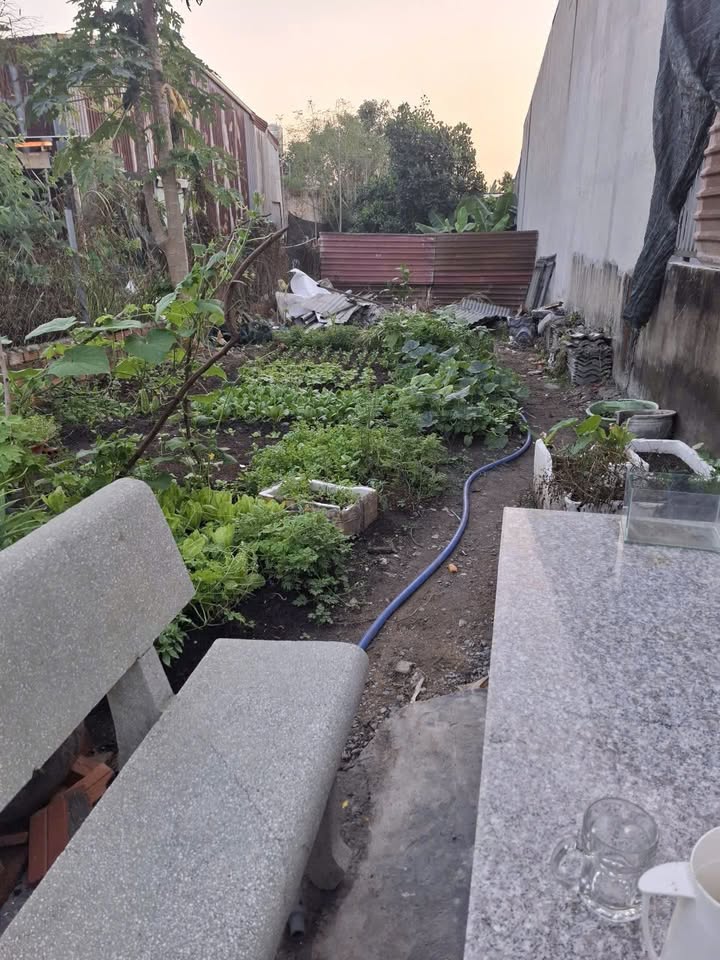 Đất Nền 147m² Trảng Dài, Biên Hòa - Sổ Hồng Sẵn, Giá 1.75 Tỷ