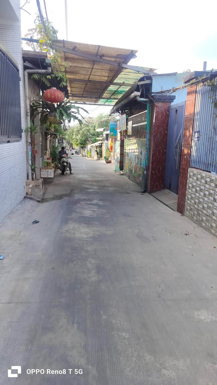 Nhà Cấp 4 Long Bình 115m² - Giá Tốt Hiếm Có!