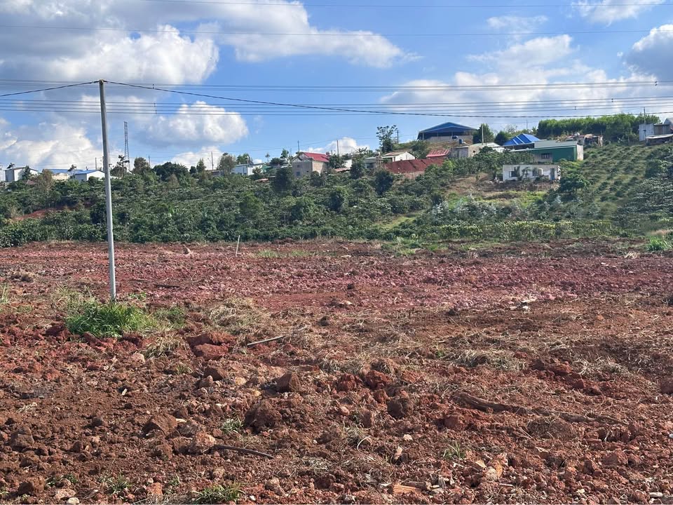 Đất vườn Tân Châu Di Linh 5000m² - Cơ hội đầu tư dài hạn!