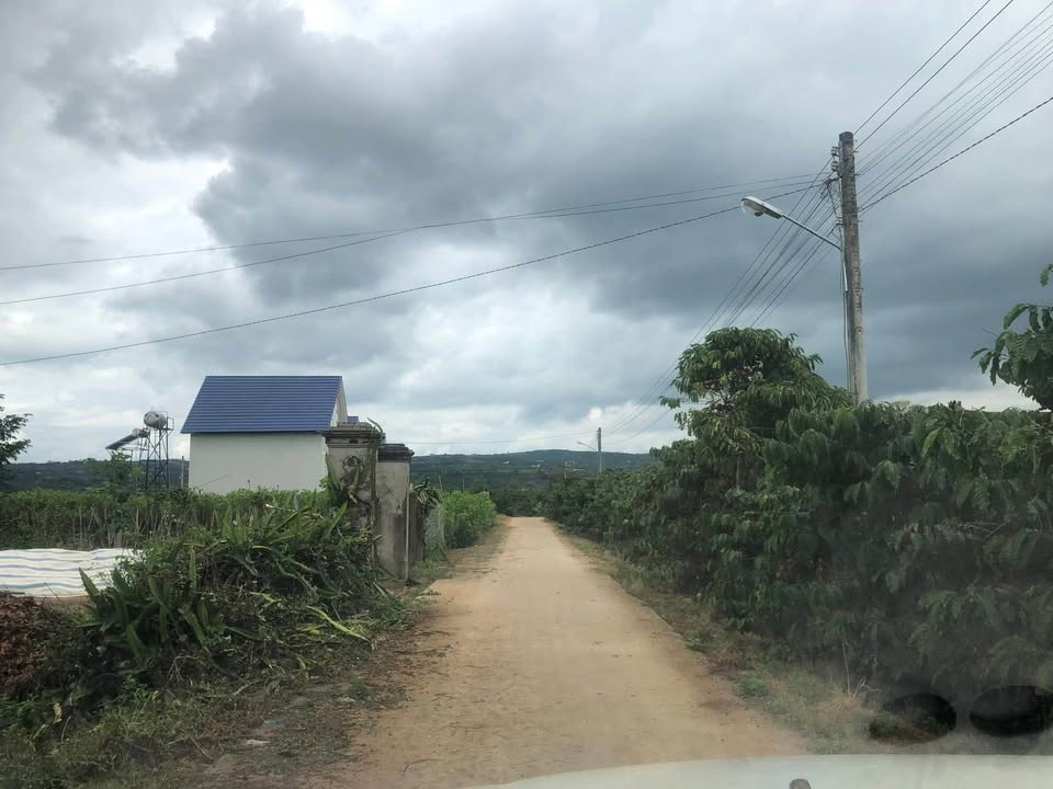 Bán Đất 1400m² Lâm Hà, Lâm Đồng - Sổ Đỏ Thổ Cư, Mặt Tiền 10m