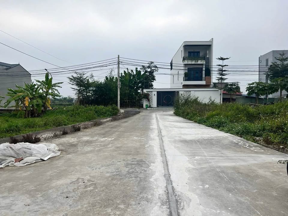 Đất đấu giá An Dương 112.5m² sổ đỏ chính chủ - Đầu tư sinh lời