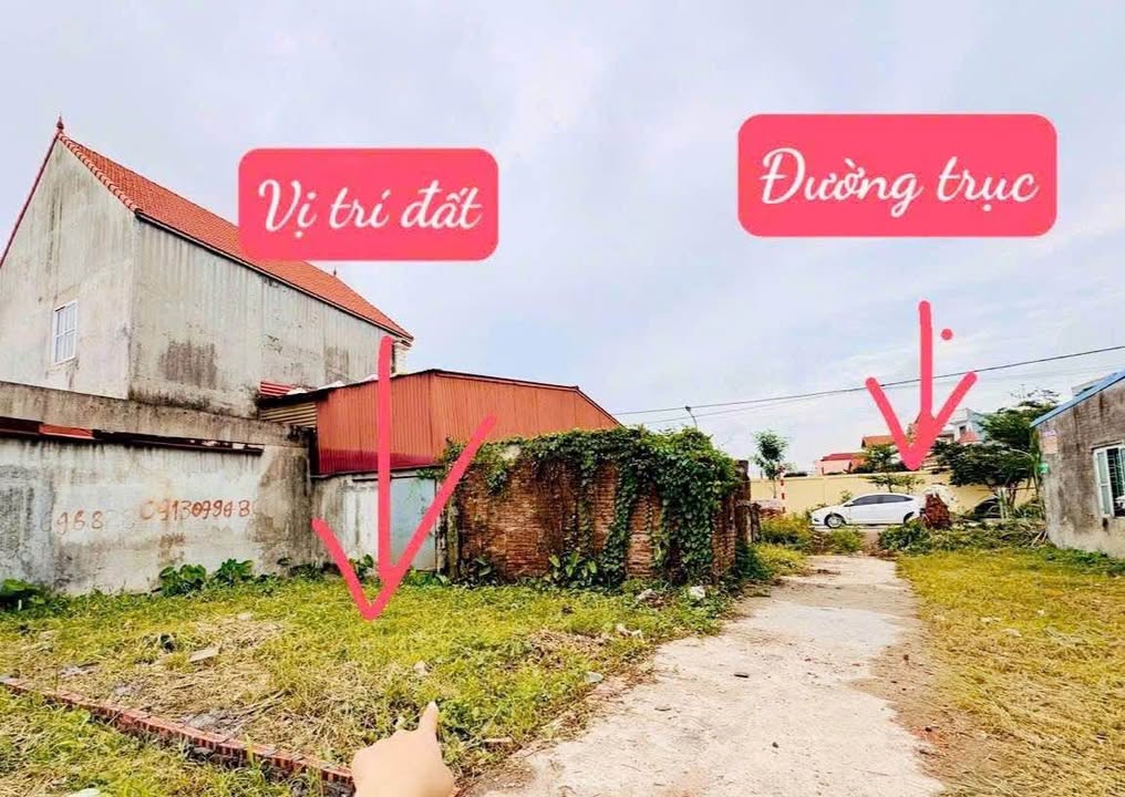 Đất Vụ Nông, Hồng Bàng 63m² - Sổ Đỏ Rực Rỡ, Sát Trục Nhựa Kinh Doanh