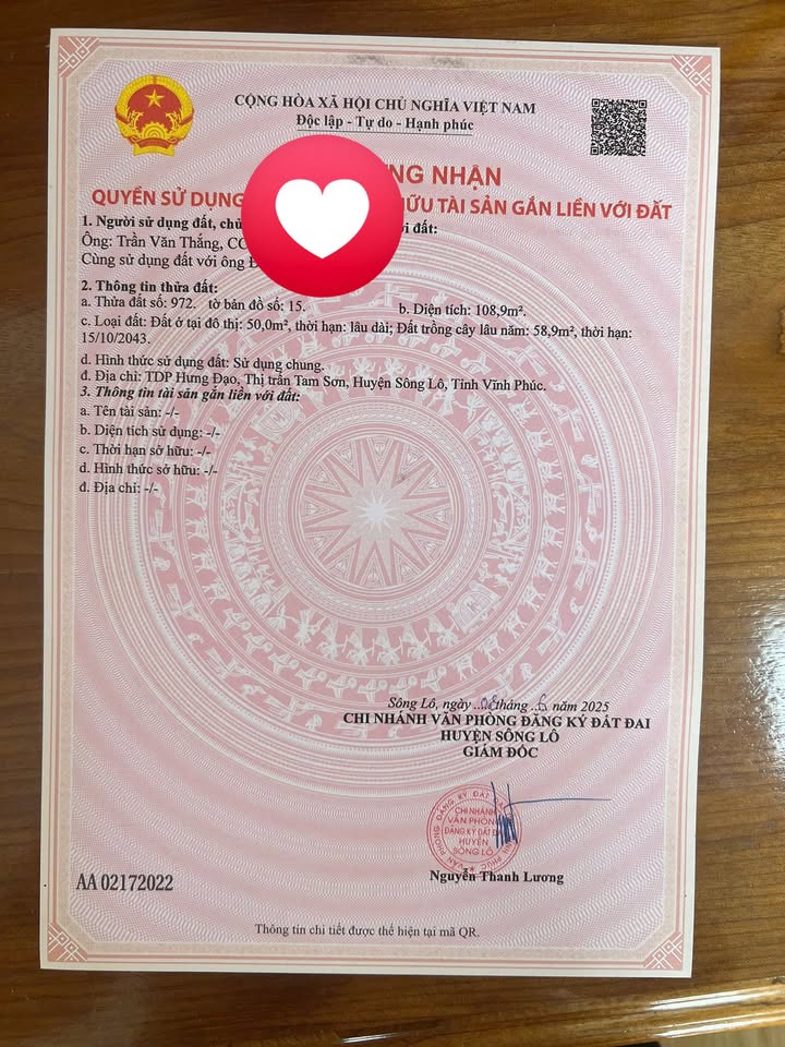 Đất Vĩnh Phúc 225m² - Sổ Đỏ 100% Thổ Cư, Hướng Đông Nam, Giá 1.3 Tỷ