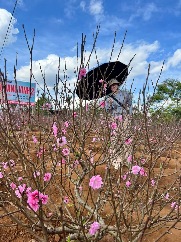 Đất nền Thị trấn Phước An 204m² 1.78 tỷ - Sổ đỏ chính chủ!