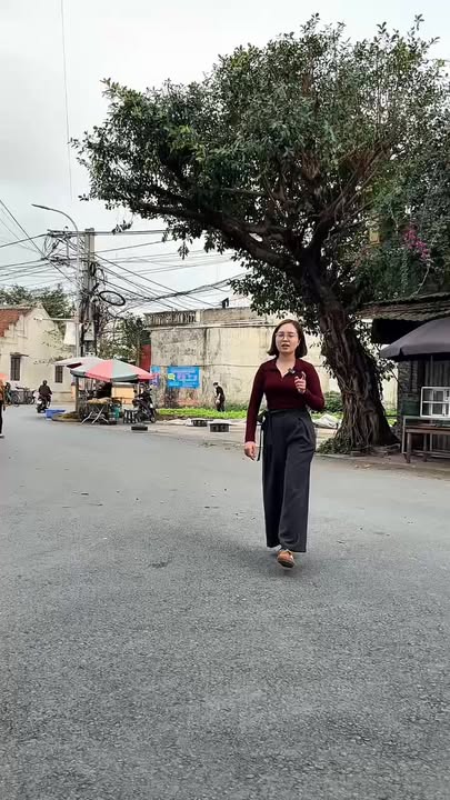 Đất nền Phú Xuân, Thái Bình 50m² - Tiềm năng tăng giá vượt trội!