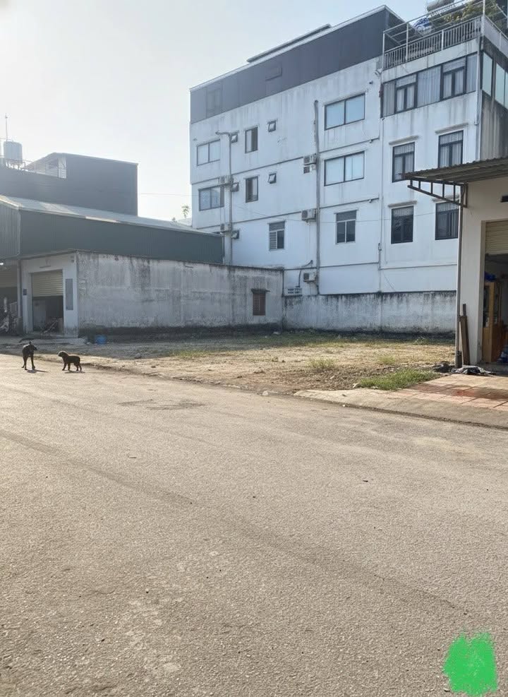 Mặt Phố Cầu Diễn 112m² - Vỉa Hè Rộng Kinh Doanh Đỉnh Cao