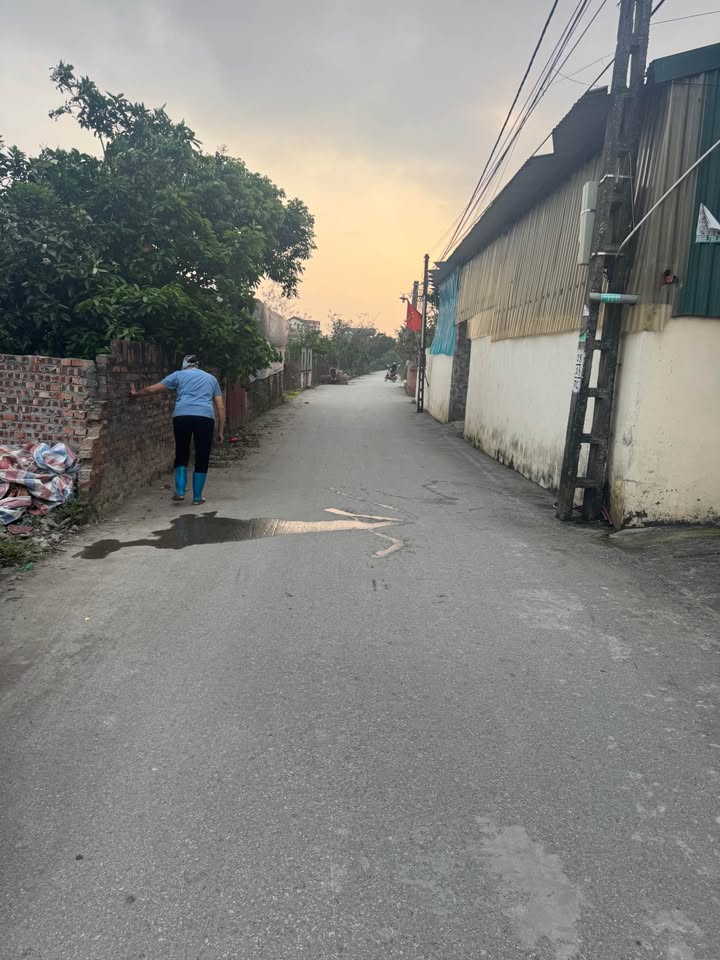 Đất nền Song Liễu, Bắc Ninh 90m² - Sổ đỏ sẵn, ô tô tránh, cạnh Vành đai 4