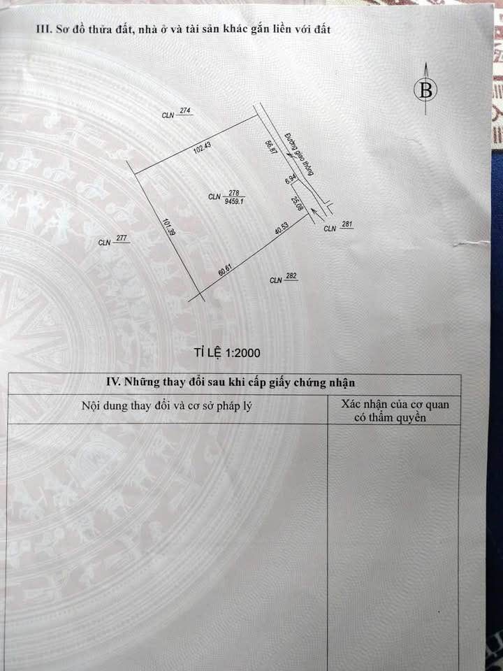 Đất trồng cây lâu năm 9459m² xã Phú Định, Bù Đăng - Sổ đỏ sẵn sàng giao dịch