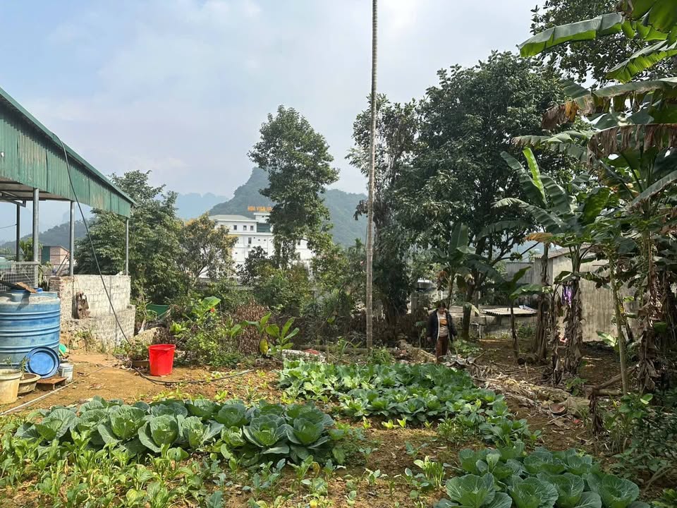 Đất nền Kim Bôi 159m² giá 2.3 tỷ - Sổ đỏ chính chủ, tiềm năng sinh lời!