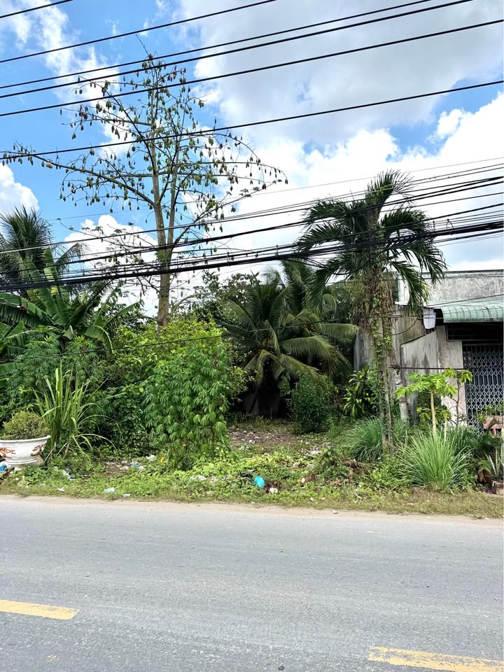 Đất nền Cần Thơ 59.4m² - Sổ đỏ chính chủ, xây dựng tự do!