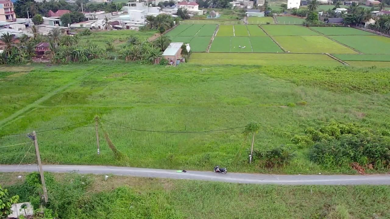 Đất Vườn Bình Mỹ Củ Chi 1250m² - Nghỉ Dưỡng Lý Tưởng