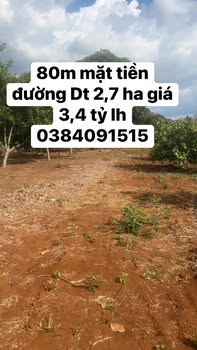 Đất Vườn Bù Đăng 2.7ha - Mặt Tiền Đường Sổ, Cao Su & Điều Thu Hoạch