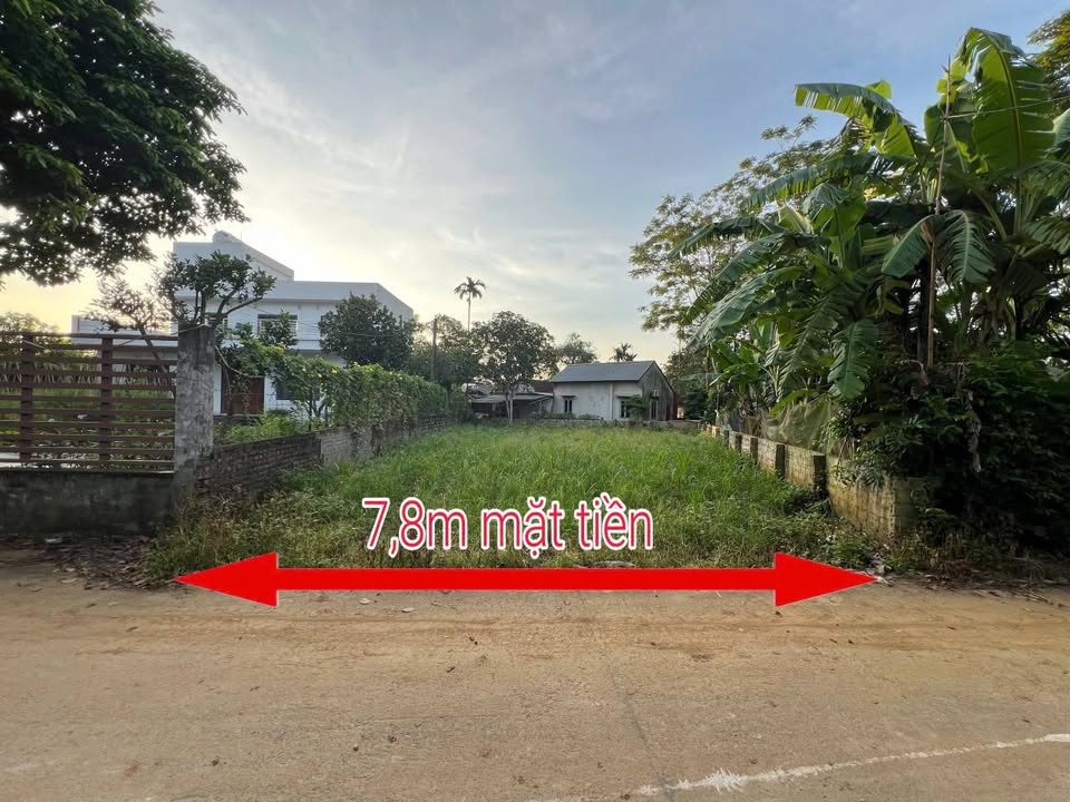 Đất nền Yên Bài, Ba Vì 360m² - Sổ đỏ sẵn, tiềm năng nghỉ dưỡng