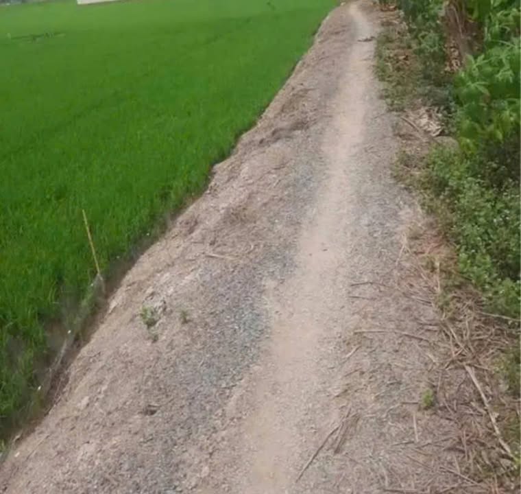 Đất Ruộng 28.000m² Thoại Sơn, An Giang - Sổ Hồng Sẵn Sàng