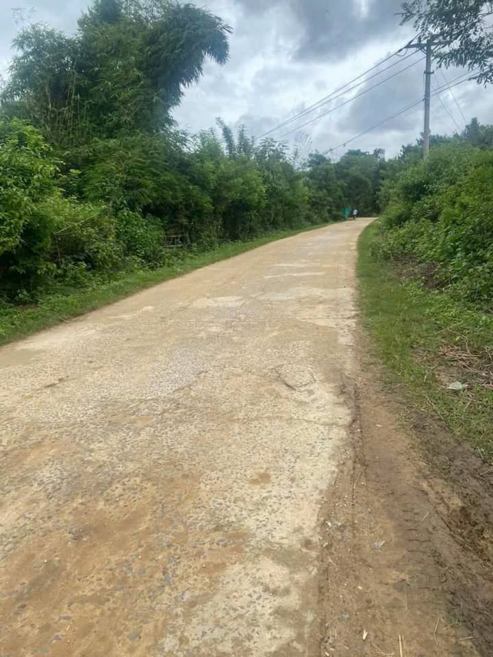 Đất Nền Kon Tum 1190m² Sổ Hồng - View Suối Mát Mẻ, Giá Chỉ Từ 3xx Triệu