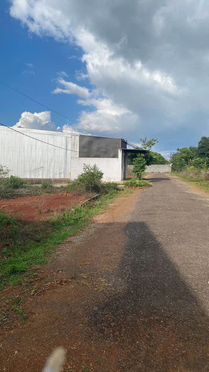 Đất Hẻm Nguyễn Tuân, Pleiku 127m² - Sổ Đỏ Rõ Ràng, Giá 690 Triệu