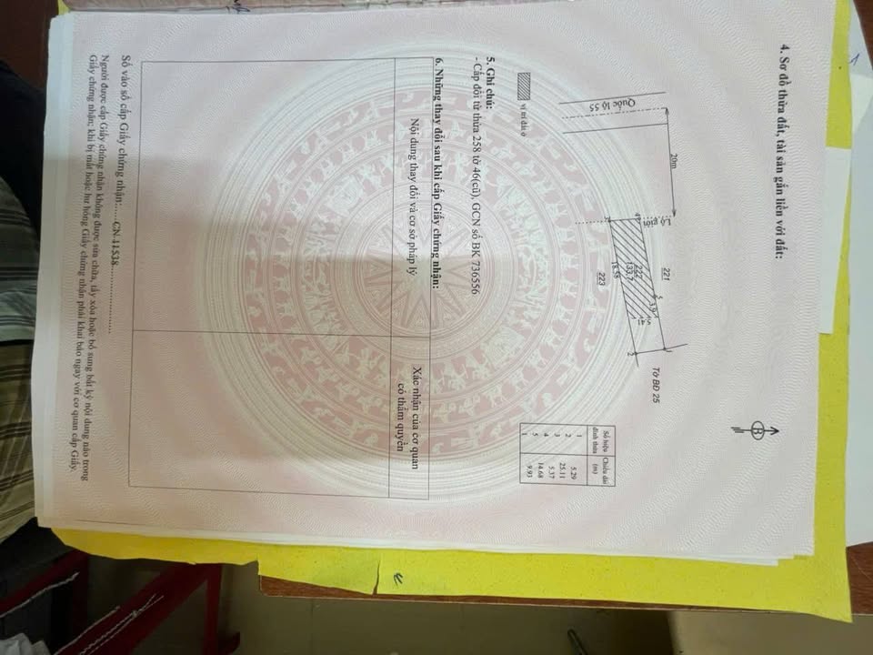 Bán Nhà Mặt Tiền QL55 Bảo Lộc - 28m² - Kinh Doanh Tốt