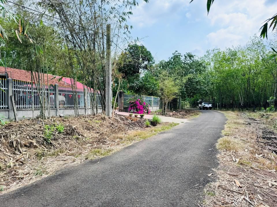 Đất nền 420m² Đồng Phú, Bình Phước - Giá 500 triệu, 2 mặt tiền