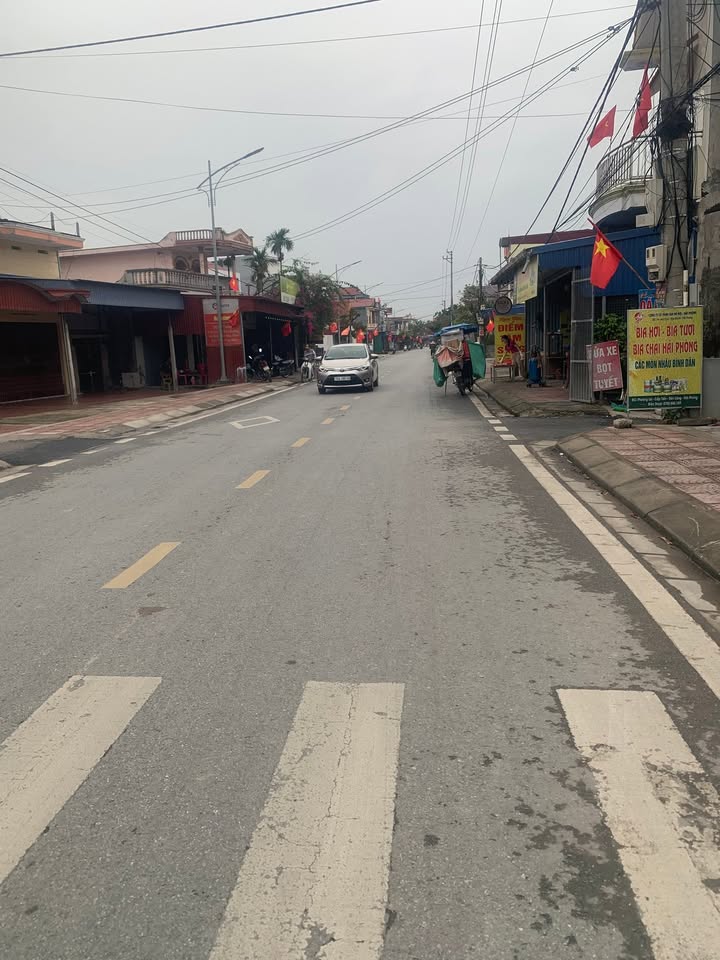 Đất nền Tân Minh Tiên Lãng 100m² 1 tỷ - Đường ô tô