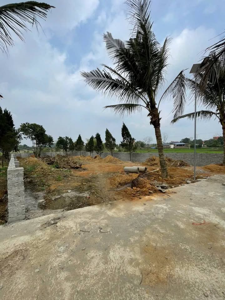 Đất Vườn Phường Gia Sàng, Thái Nguyên 480m² giá 1 tỷ - An yên tĩnh lặng!