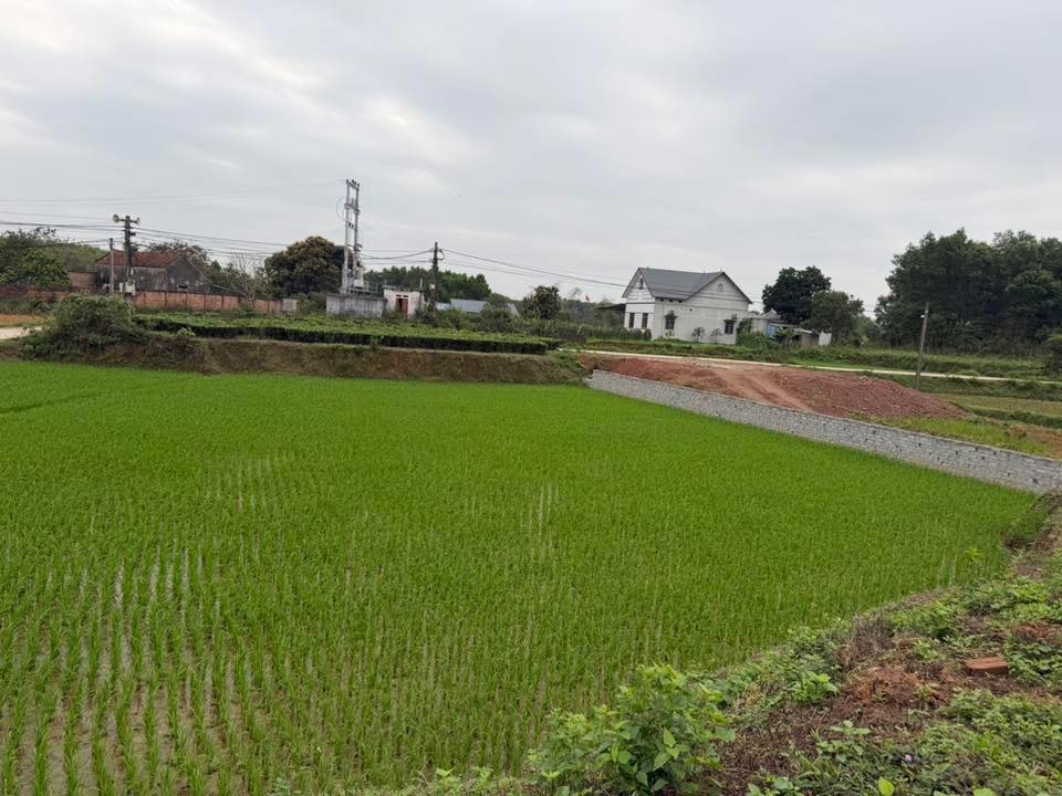 Bán Gấp Đất Phổ Yên 214m² Sổ Đỏ - Cắt Lỗ Sâu 6xx Triệu