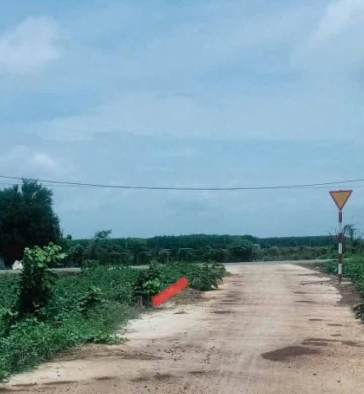 Đất nền Xã Láng Dài 130m² - Sổ đỏ chính chủ, Đường ô tô 4m