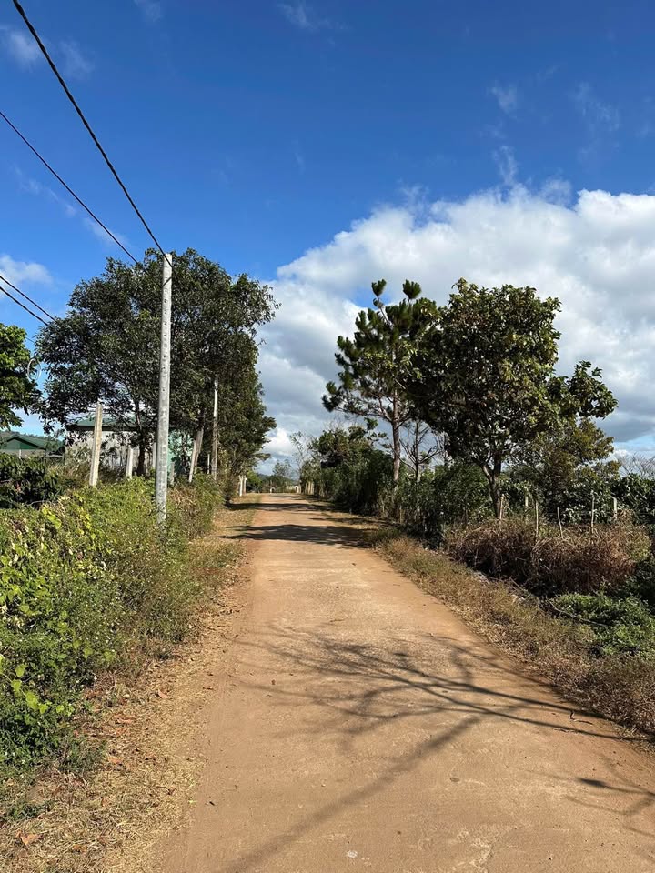 Đất nền Chư Đăng Ya Gia Lai 165m² giá 300 triệu - View núi lửa cực hot!