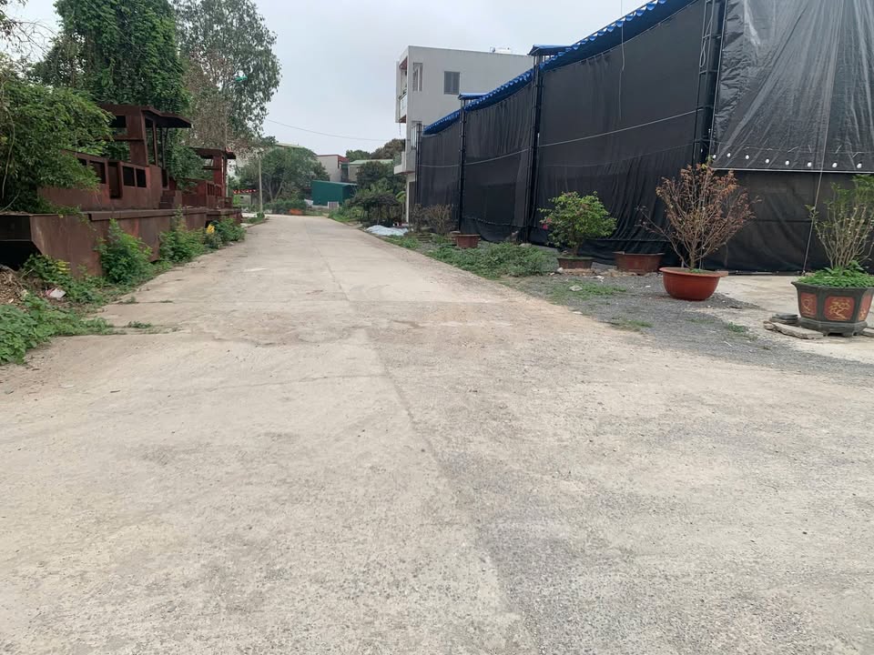 Đất nền Bích Đào Hoa Lư 70m² giá hơn 3 tỷ - Đường to ô tô