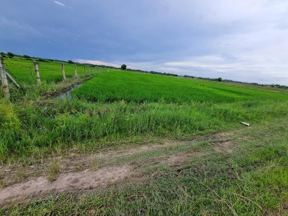 Bán đất vườn Củ Chi 1756m² giá 1.9 tỷ - Sẵn sổ, vị trí đẹp