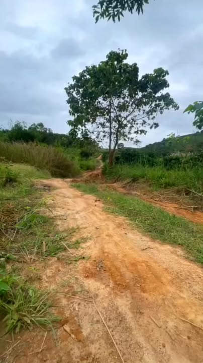 Đất Rẫy 3 Hecta Đăk Đoa, Gia Lai - Giá Tốt Đầu Tư