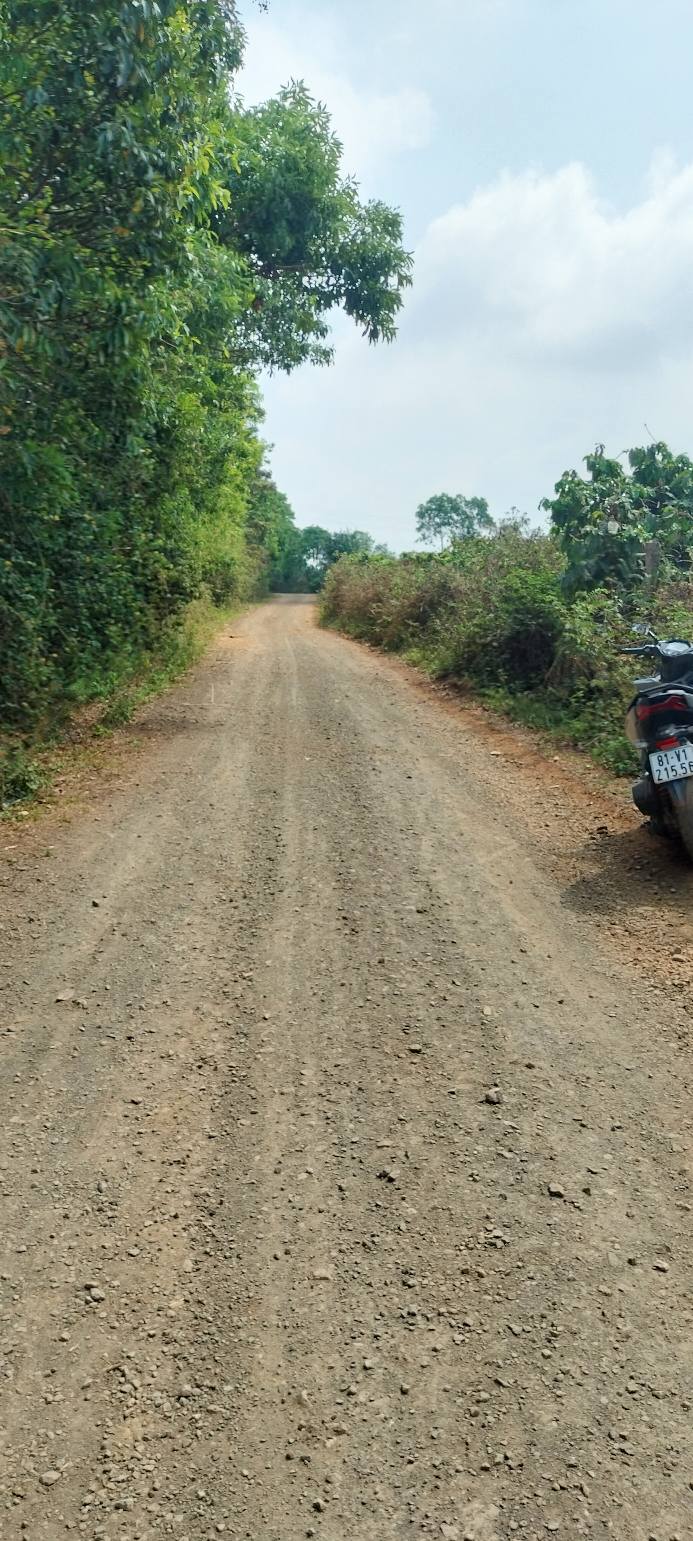 Đất Nền Ia Dêr 3ha Gia Lai - Tiềm Năng Tăng Giá Vượt Trội!