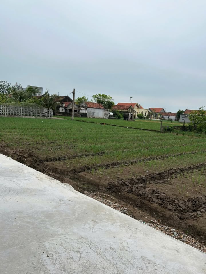 Đất Nền Thịnh Long, Hải Hậu 100m² giá 1.7 tỷ - Sổ đỏ chính chủ!