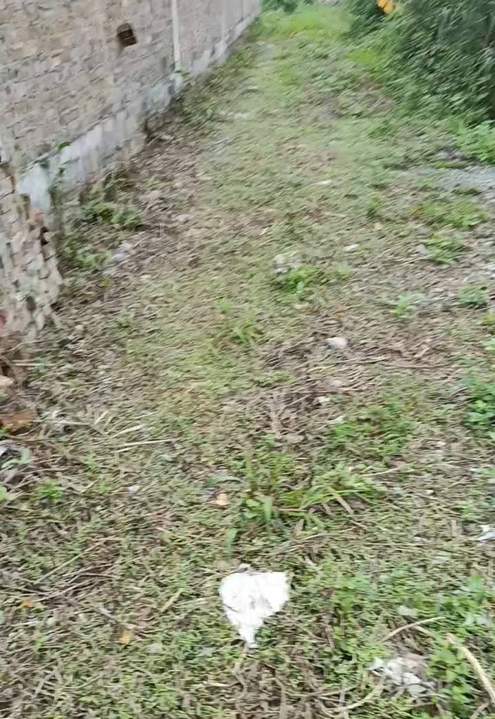 Bán Gấp Đất Nền 100m² An Hòa, Ứng Hòa, Hà Nội - Giá 2.3 Tỷ