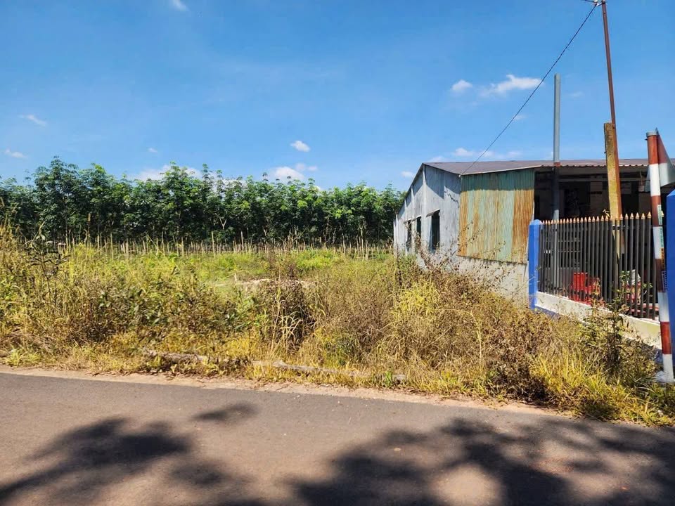 Bán Đất An Lập Dầu Tiếng 100m² - Sổ TC, Giá 680 Triệu