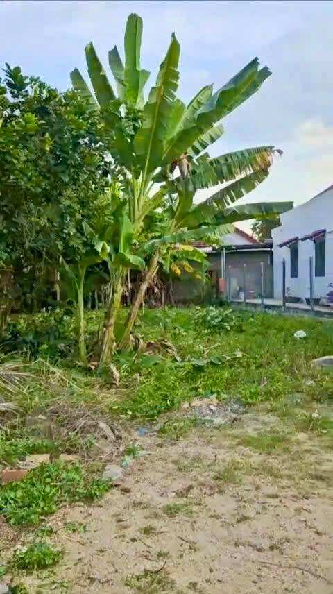 Đất nền Bình Lộc, Diên Khánh 241m² giá 1.55 tỷ - Sổ đỏ chính chủ