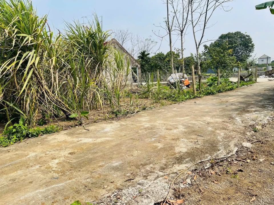 Đất nền Thôn Đồng Mai, Yên Trị, Hòa Bình 270m² - Tiềm năng tăng giá!