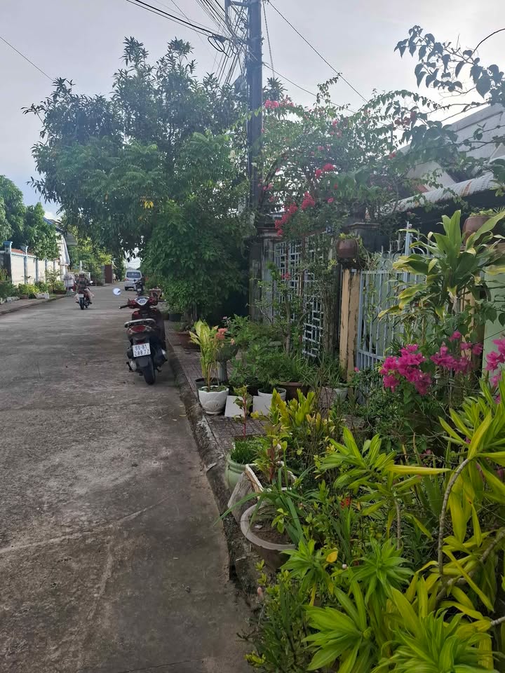 Bán Gấp Nhà 103m² Thổ Cư 100% Tại Khu Hoàng Tâm, Gành Hào - Sát Trường Học Tân Hưng