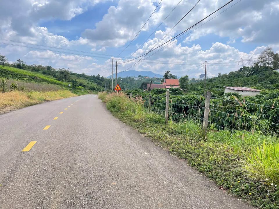 Bán Đất Mặt Tiền Nguyễn Tri Phương Nối Dài, Bảo Lộc - 5400m² Giá 15 Tỷ