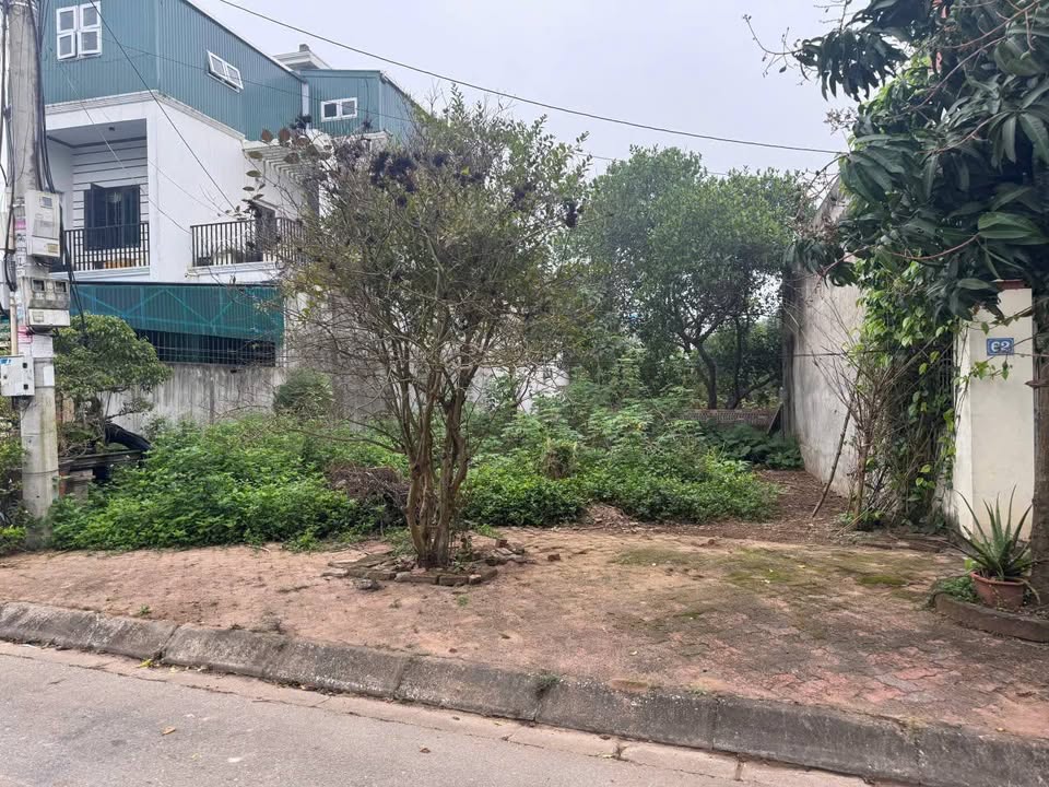 Đất nền Lê Hồng Phong Hưng Yên 78m² - Tiềm năng tăng giá!