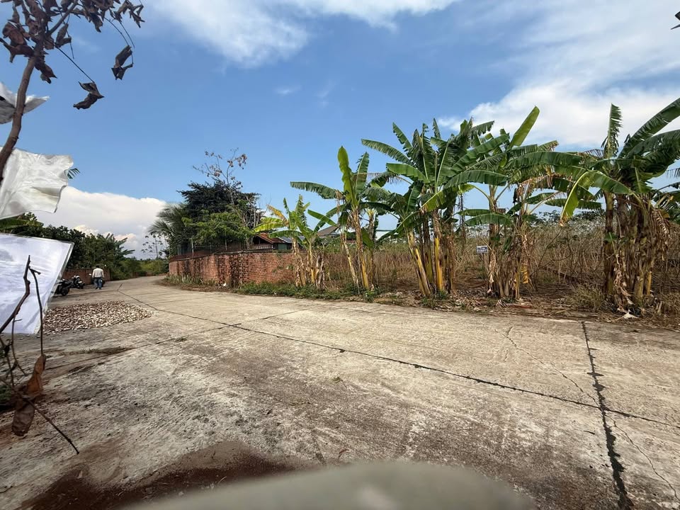 Đất nền 180m² đường Bê Tông, Quận 6 - Sổ hồng sẵn, giá 999 triệu