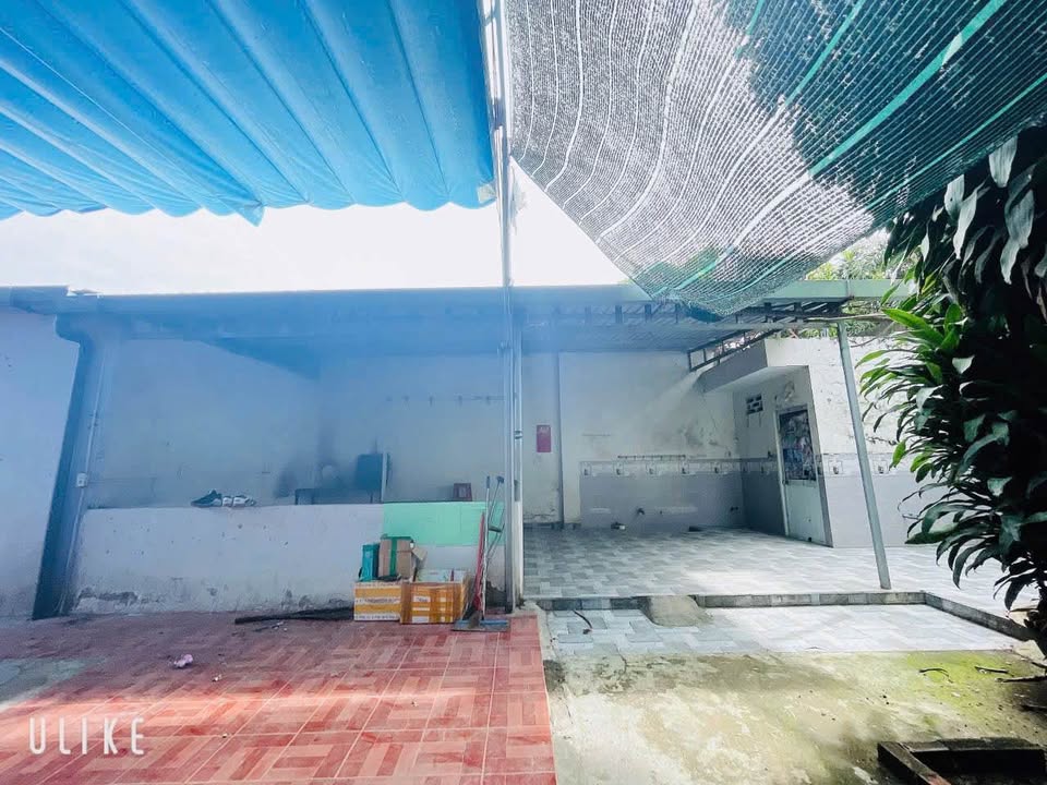 Cho thuê kho 255m² Trảng Dài Biên Hòa - Hoạt động ngay, giá 4 triệu!