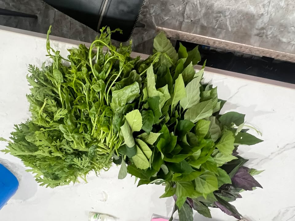 Đất nền Trảng Dài, Biên Hòa 2387m² - Tiềm năng tăng giá vượt trội!