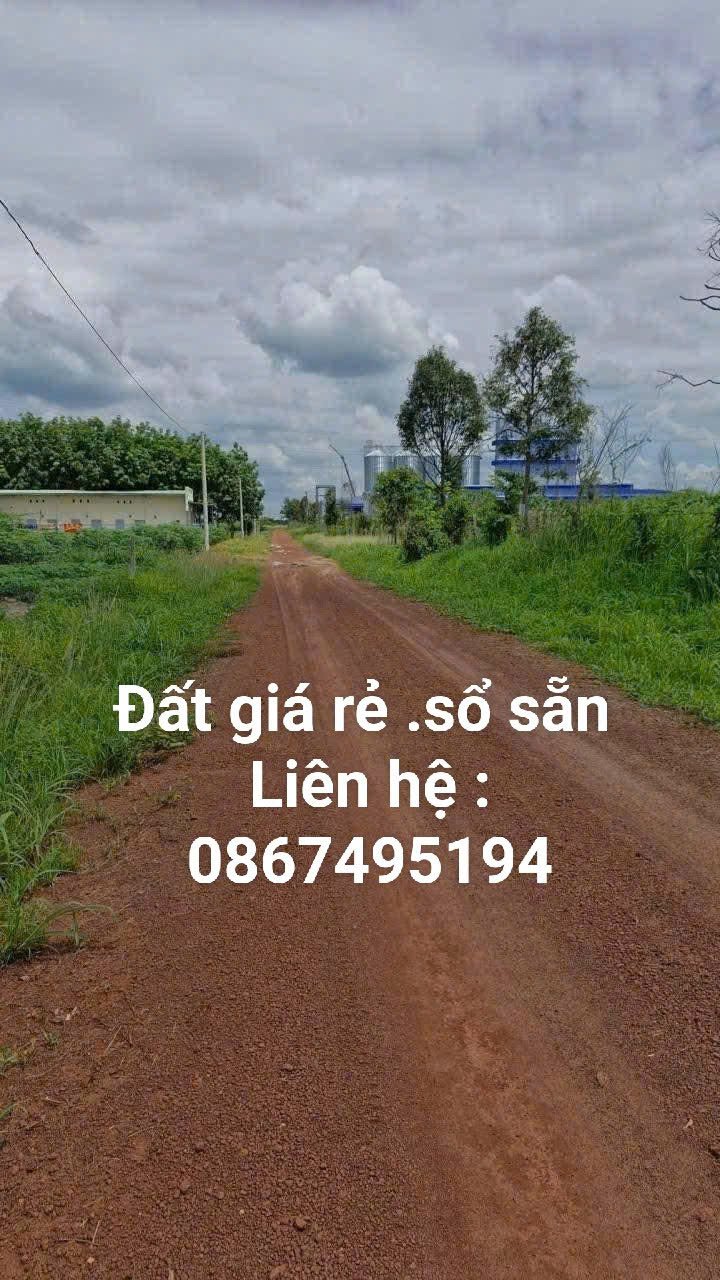 Bán Gấp Đất Vườn 7000m² Bình Chánh - Sổ Đỏ Sẵn, Giá 395 Triệu