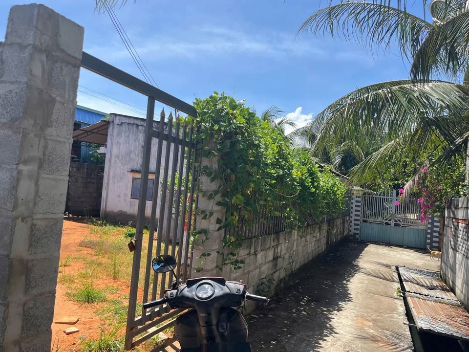 Đất nền Thôn Phú Mỹ Hàm Mỹ 150m² - Tiềm năng tăng giá!