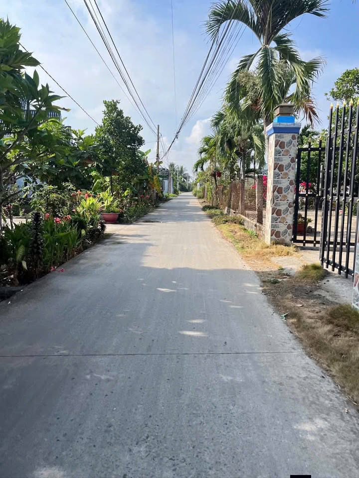 Đất nền Bến Lức 228m² - Mặt tiền đường Liên Ấp - Giá 1.35 tỷ