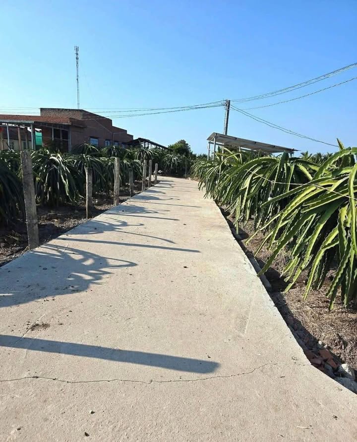 Đất vườn An Lục Long, Châu Thành 1050m² - Sổ đỏ chính chủ!