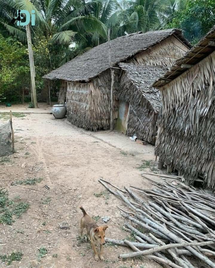 Bán Đất 84m² Mậu Thân, Cần Thơ - Sổ Đỏ, GPXD, Giá 2.2 Tỷ